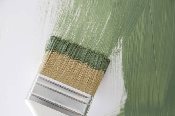 Mold Remediation for Rental Properties in Mancos, CO