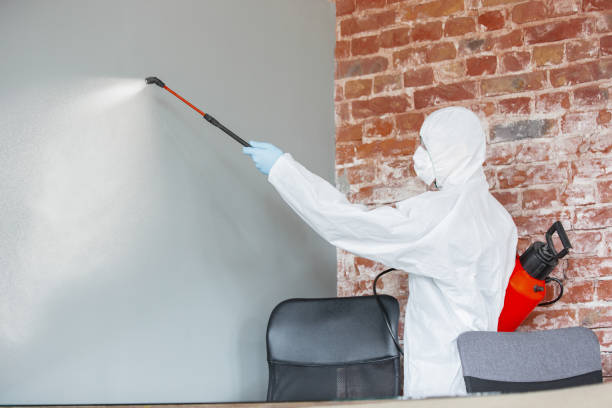 Mancos, CO Mold Removal Company