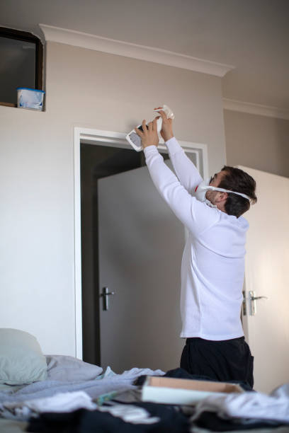 Environmental Consulting for Mold Prevention in Mancos, CO