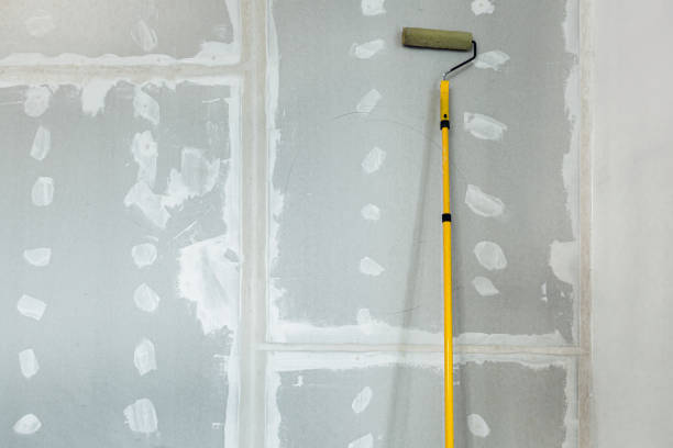 Best Mold Prevention Services  in Mans, CO