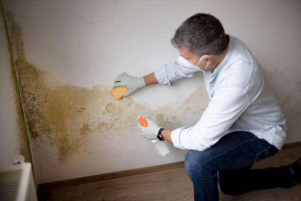 Best Biohazard Mold Removal  in Mans, CO
