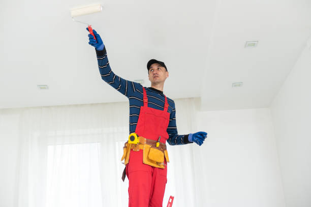 Best Mold Damage Restoration  in Mans, CO