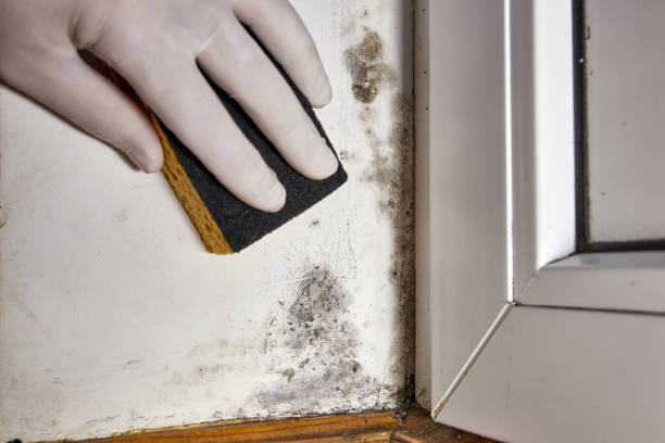 Best Post-Remediation Verification Testing  in Mans, CO